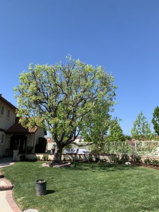 Jctreecare10