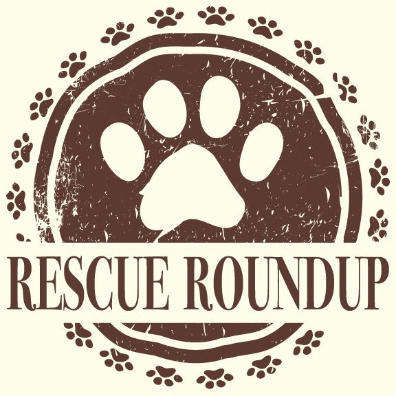 Rescue Roundup