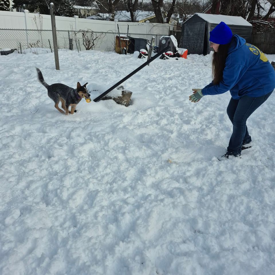 Messenger creation 4ab58183 8b17 4083 baf7 a5ecad1f9876