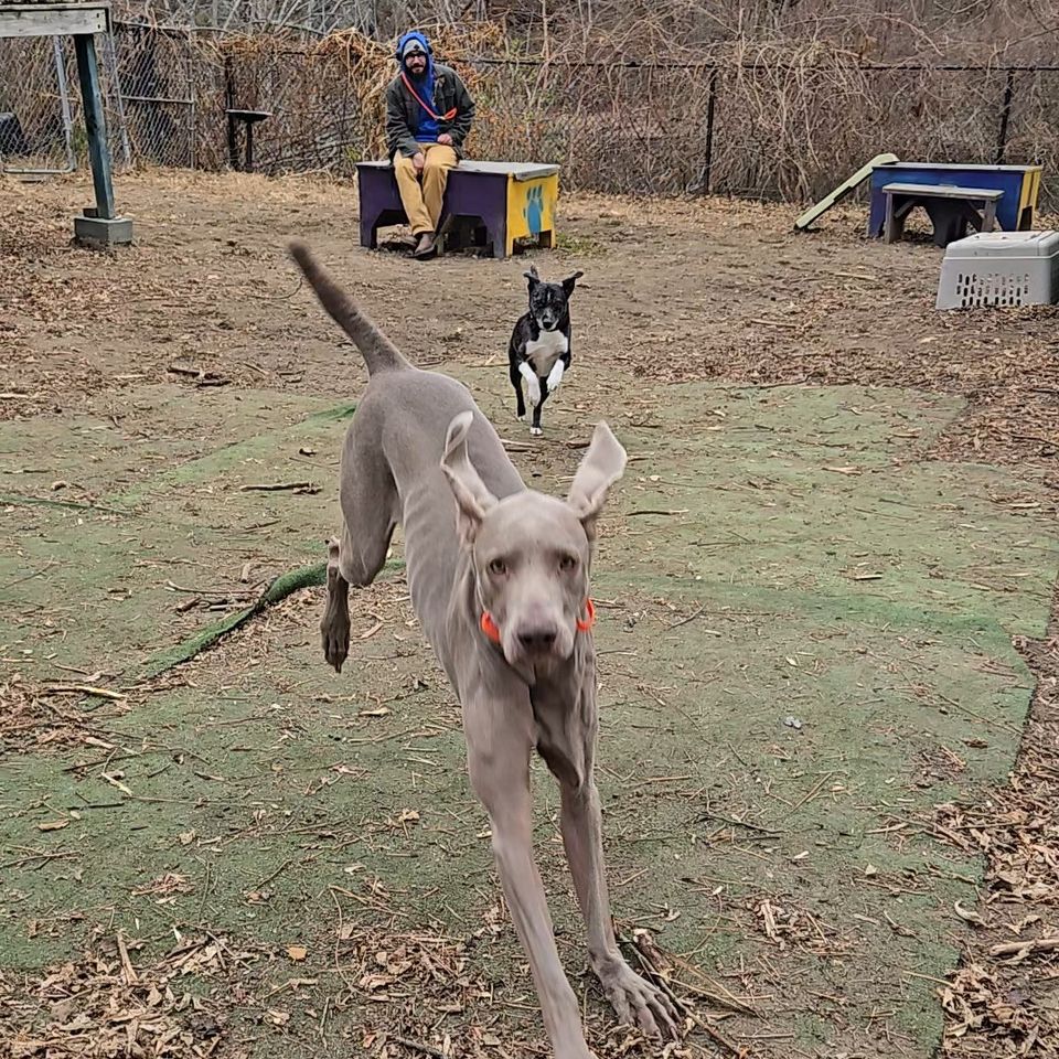 20251125 121715 exported 169