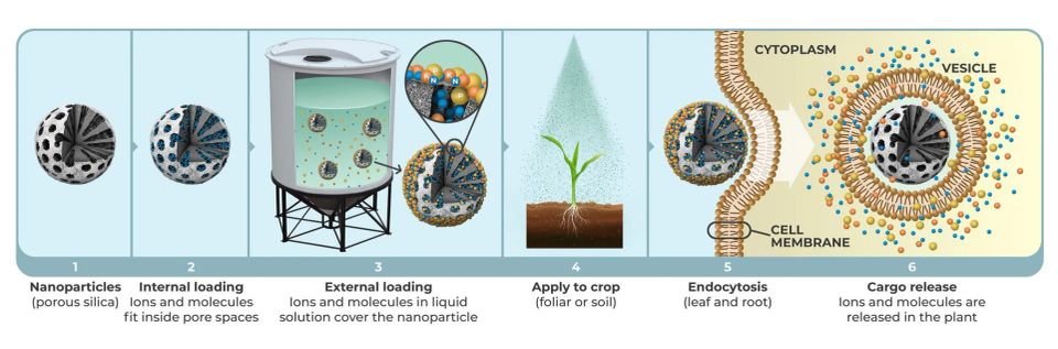 Np progression 3000w 2e55cf64 c90c6b78 1920w