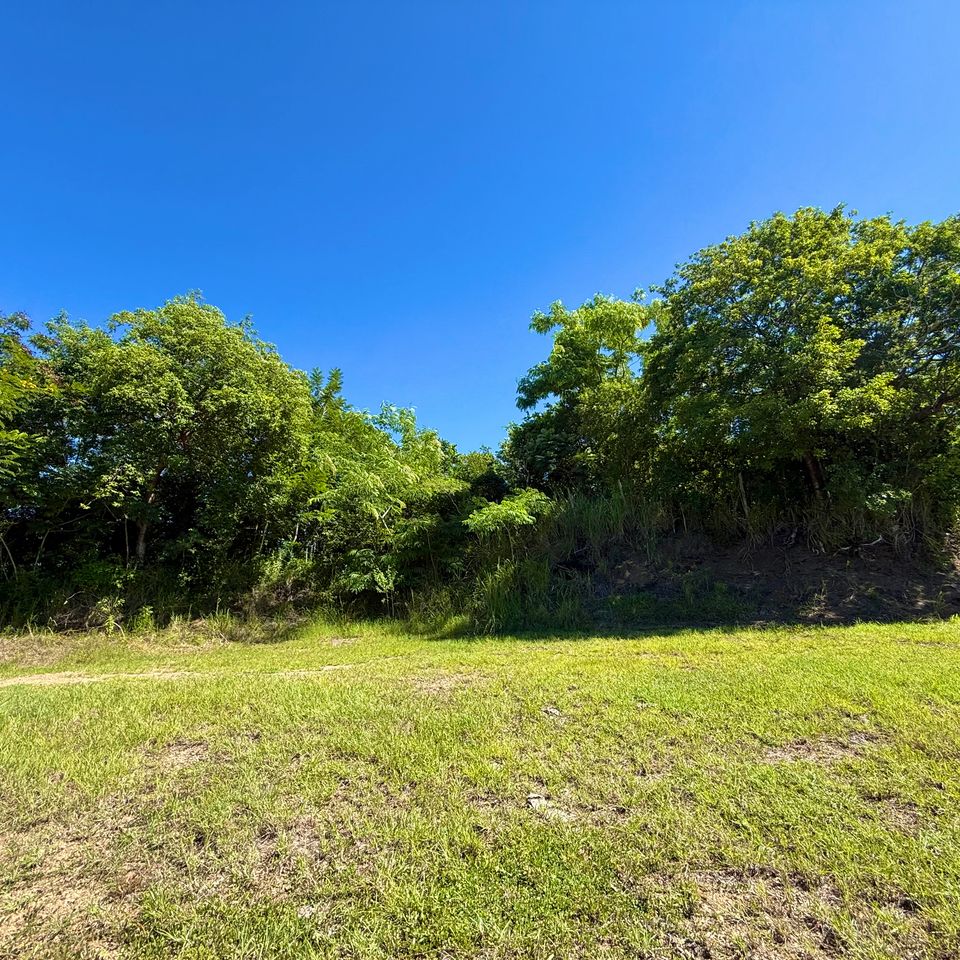 Img 3591