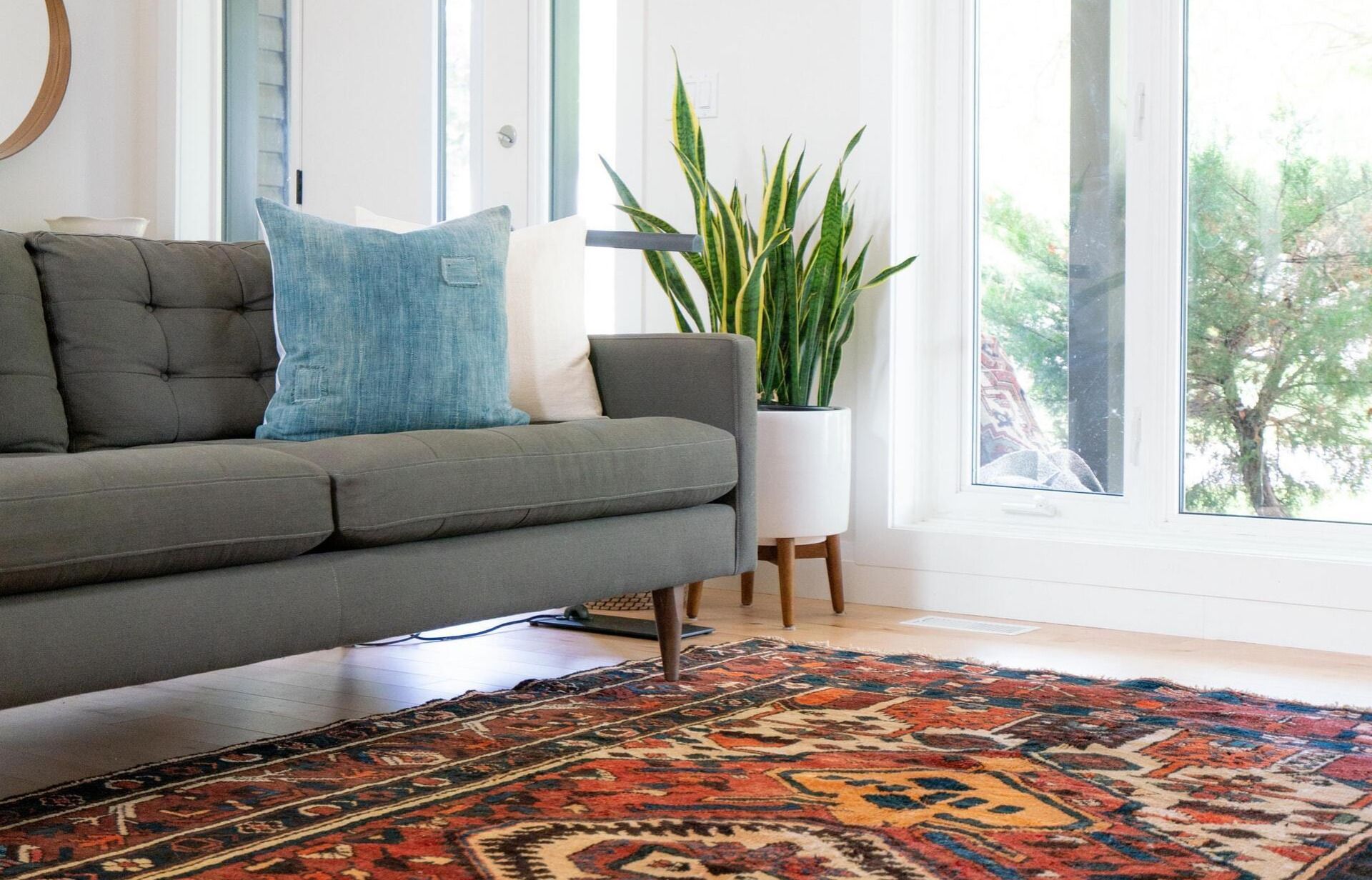 Professional Carpet Cleaning in Goldsboro NC 9199204987