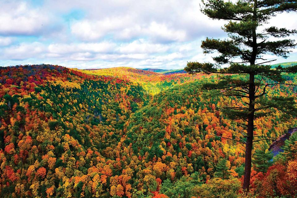Pennsylvania Grand Canyon photo by Tim McBride Photography