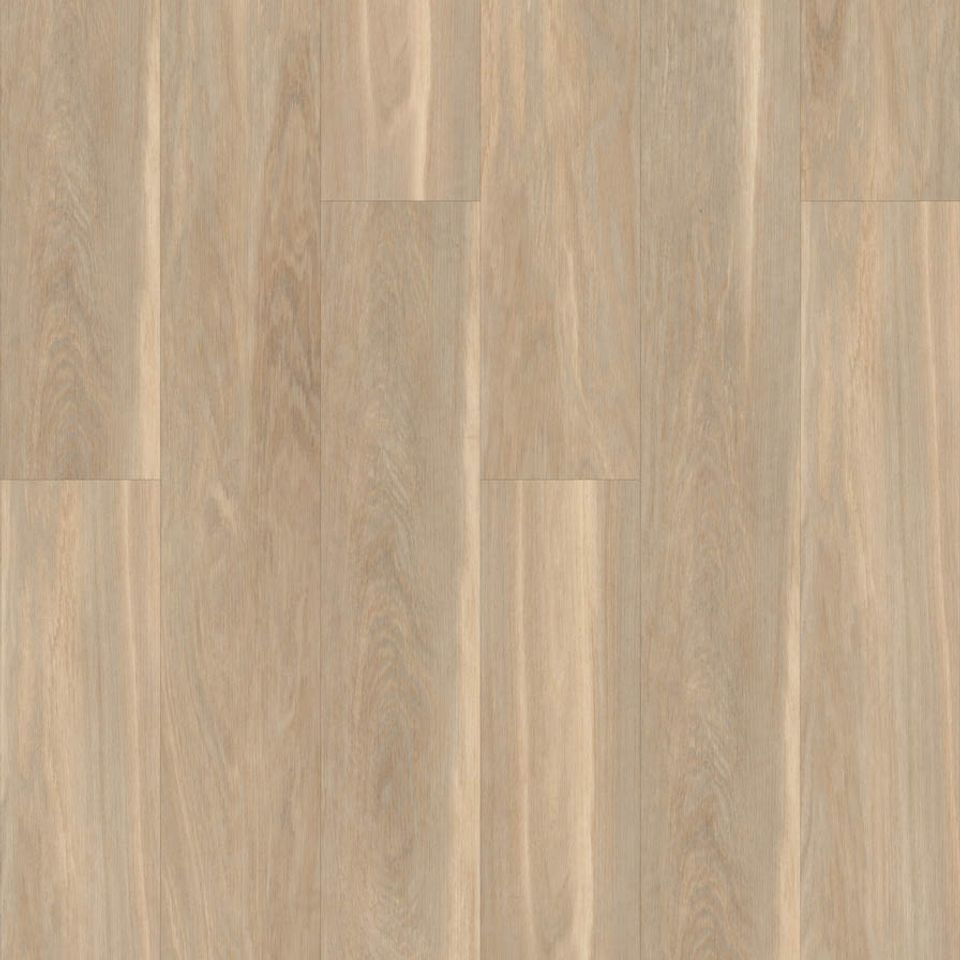 5045 cortland 2