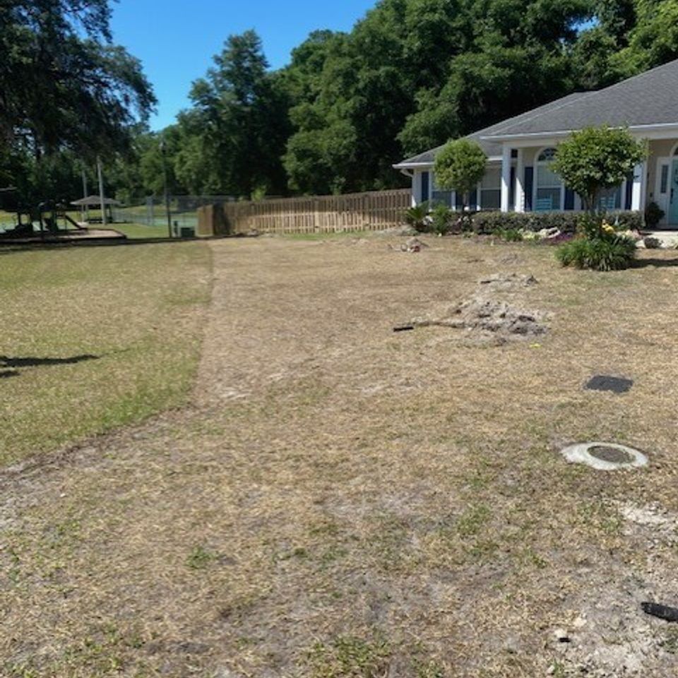 Vivian lawn before pic