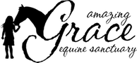 Ageslogoblk 90h