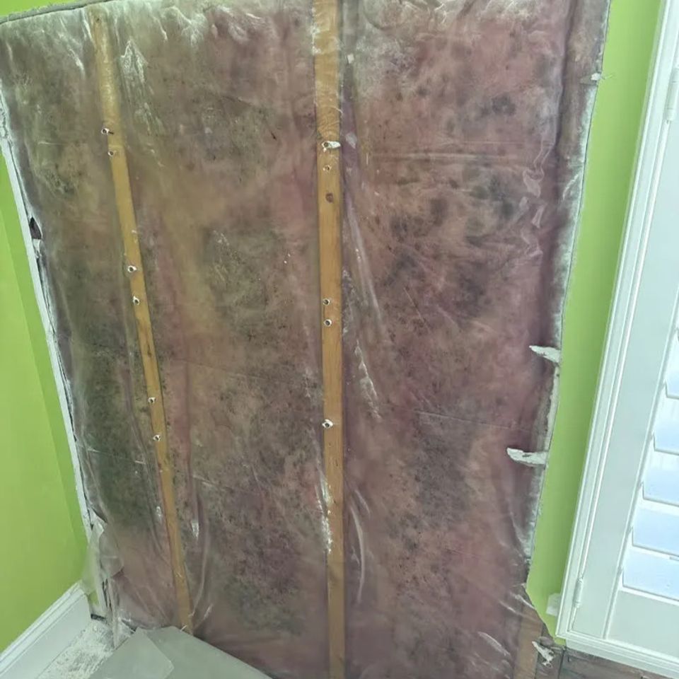 Mold on insulation of residential property clean up by Natural Restoration of Youngsville, NC