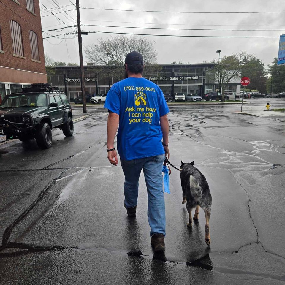 Received 1459628728527846