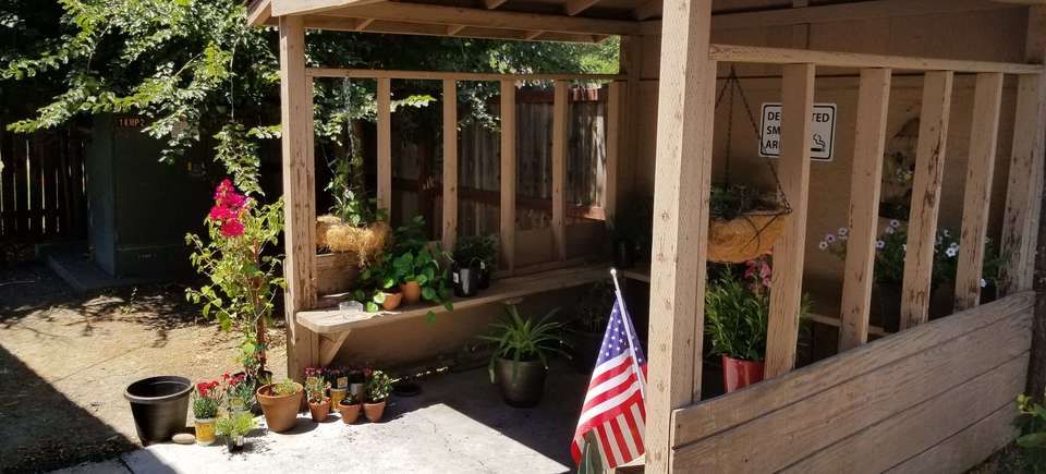 Garden (1)