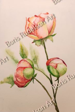 Roses