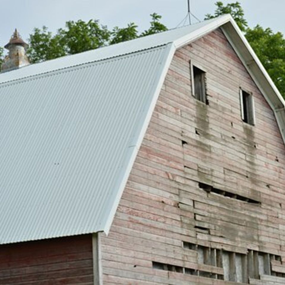 Barn 615607  340
