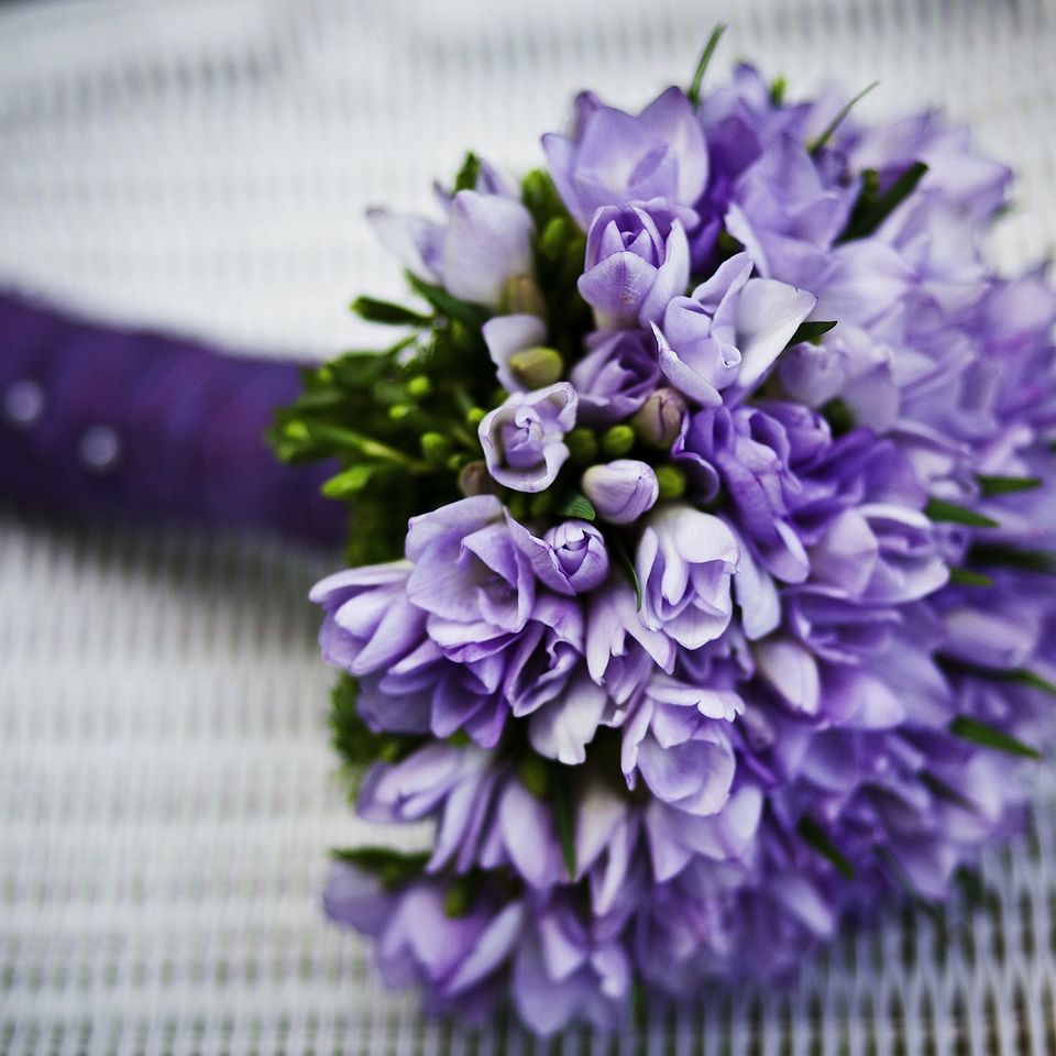 Marriage e833b9072b 1920