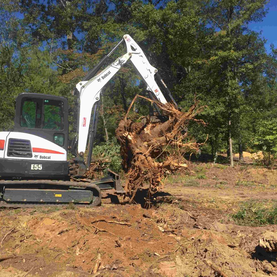 Land clearing5