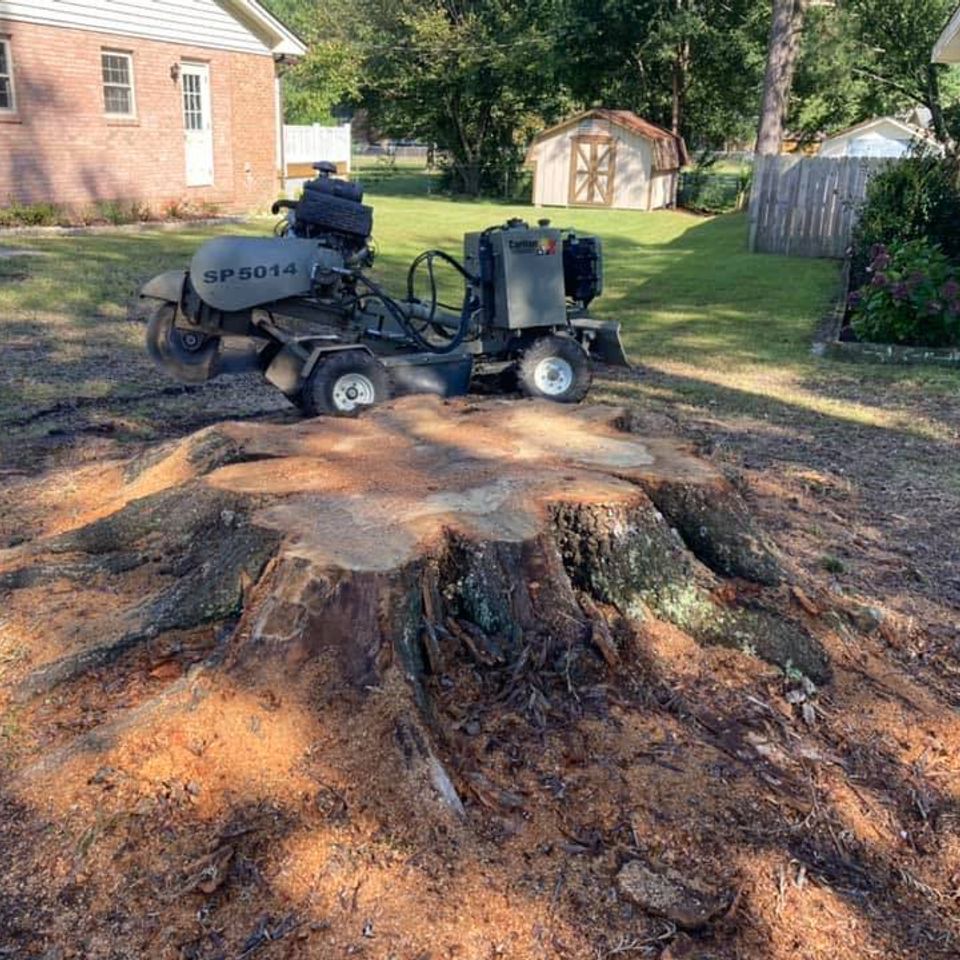 488862059 1200265112110052 7011577378243938020 n