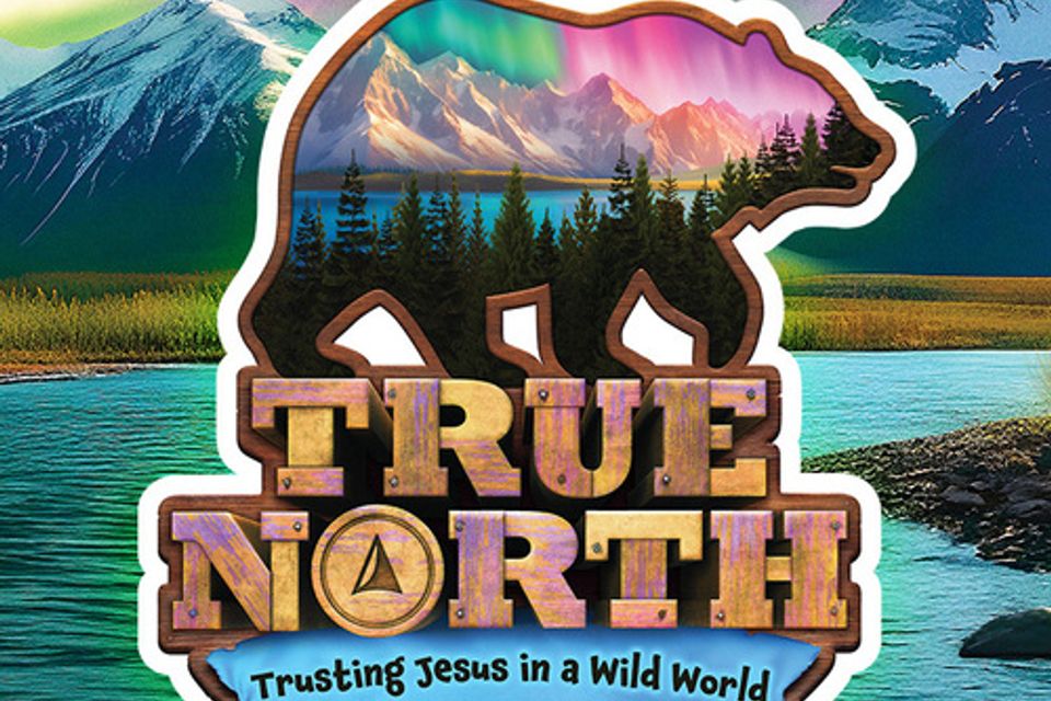Truenorthvbs2025 vbspro