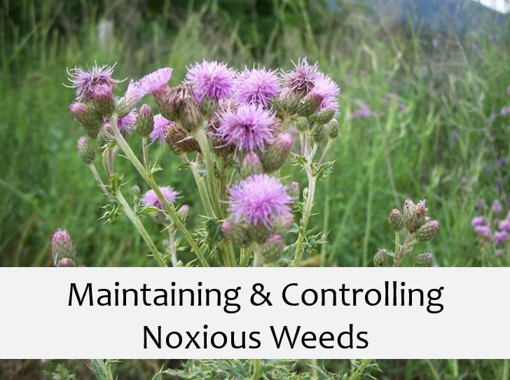 Noxious weeds ordinance notice