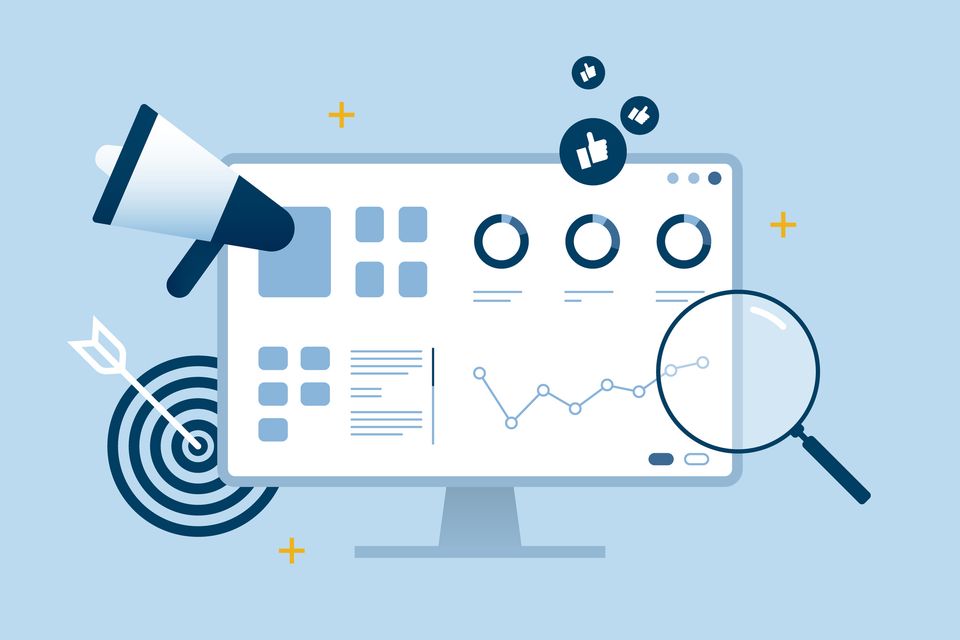 Website mangement and maintenance