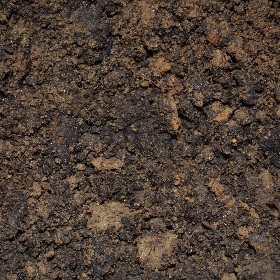 Dirt g8b9f4de29 1920
