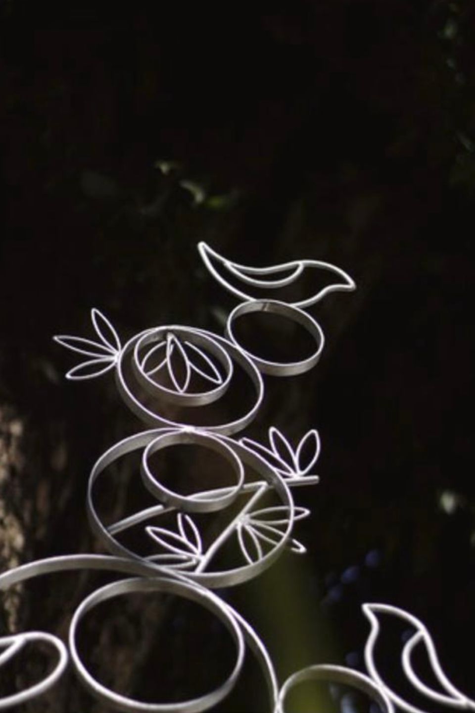 Img 4592