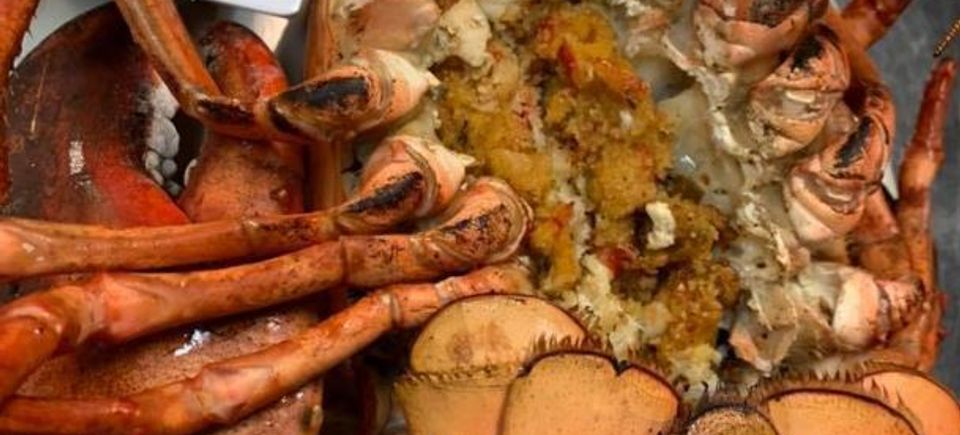 Cg 26 lobster