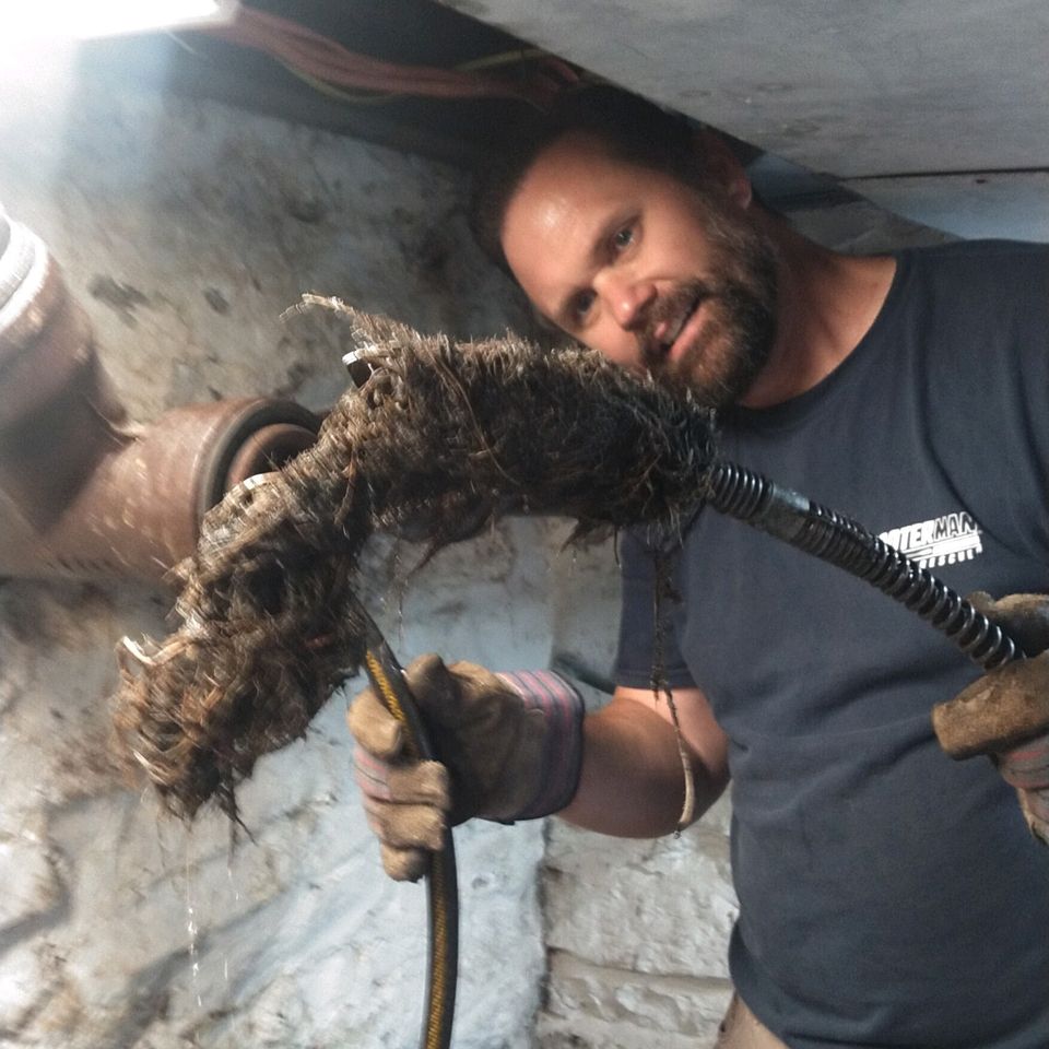 A clog that was found during drain cleaning in Valdosta, GA