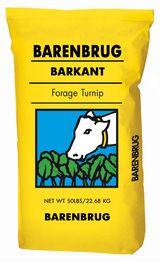 Barenbrug Barkant Forage Turnip seed available at Eastern Colorado Seed