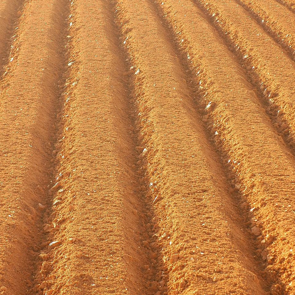 Mspphoto farming g50b784df8 1920