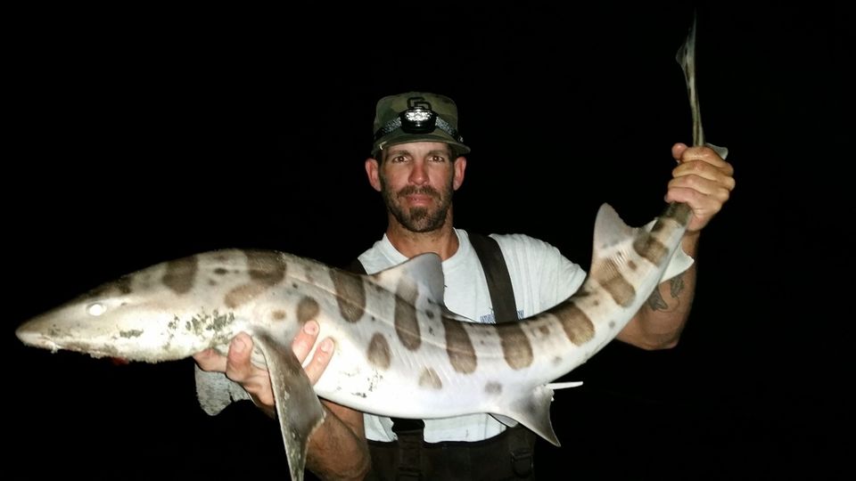 20160414 214705 zpswvtohxdy