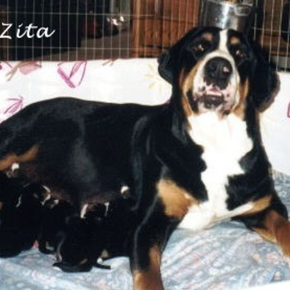 Zita