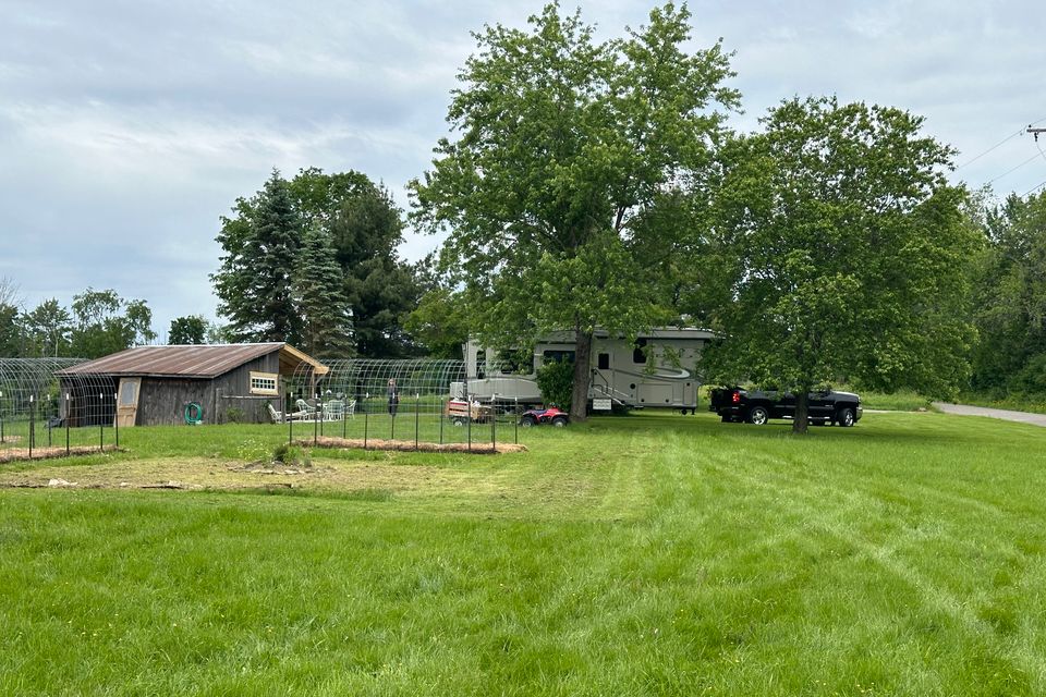 Img 3976