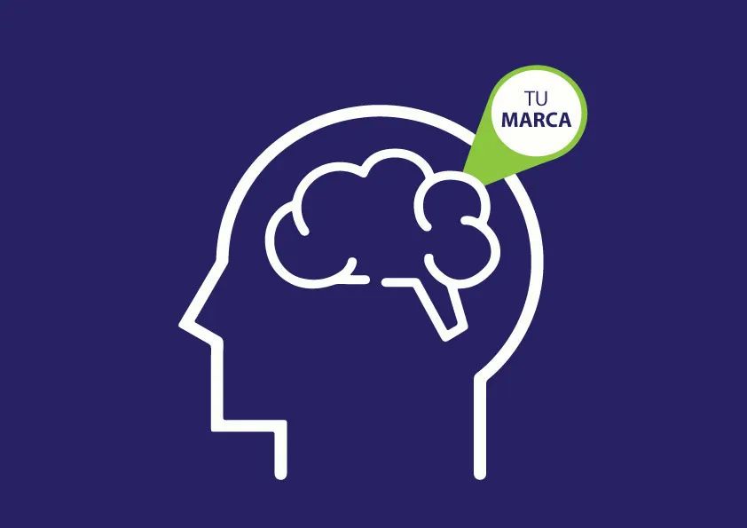 Mh b pub posicionamiento marca cabeza cerebro