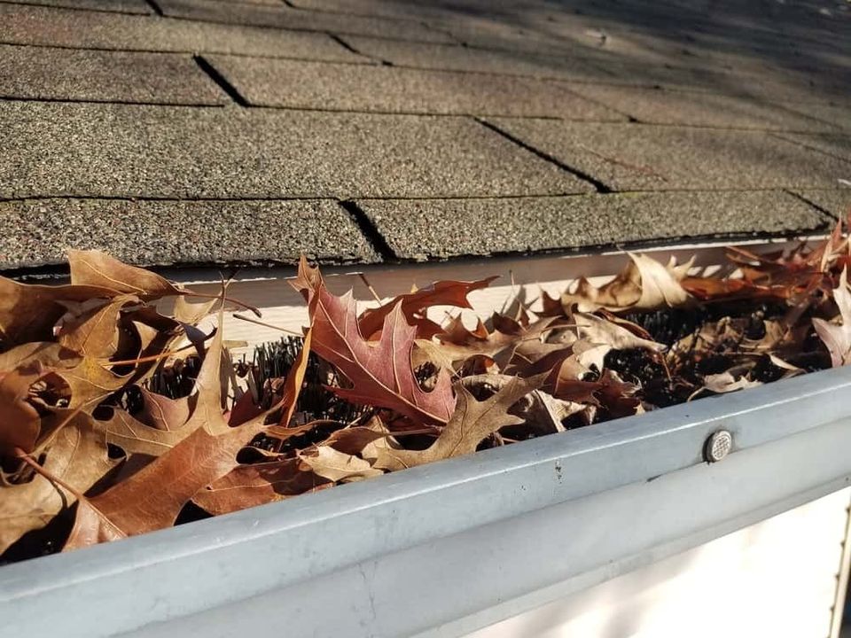 Gutter vacuum