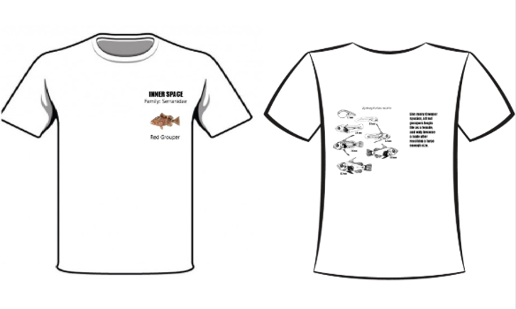 Screenshot 2025 10 27 091003