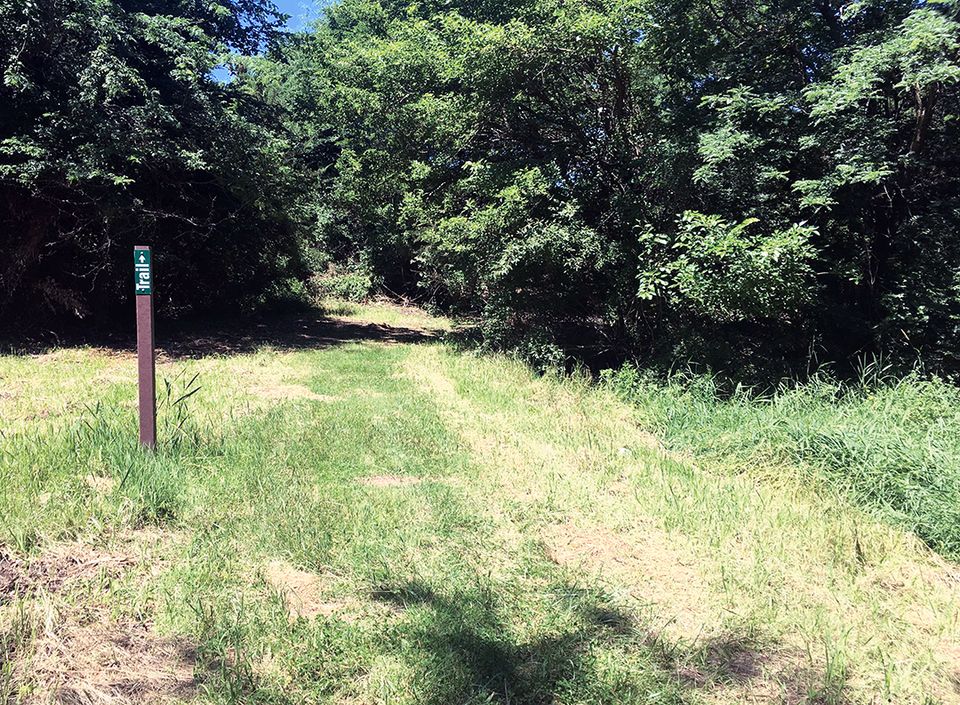Trail