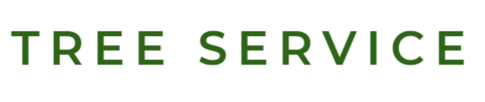 Screenshot 2025 10 22 100014