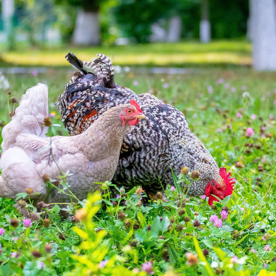 Adobestock 484491057