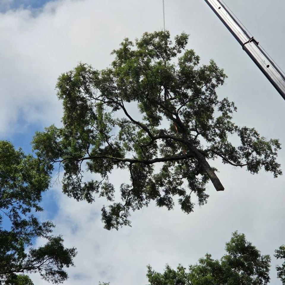 506255494 1121983593281813 1024454909777591778 n