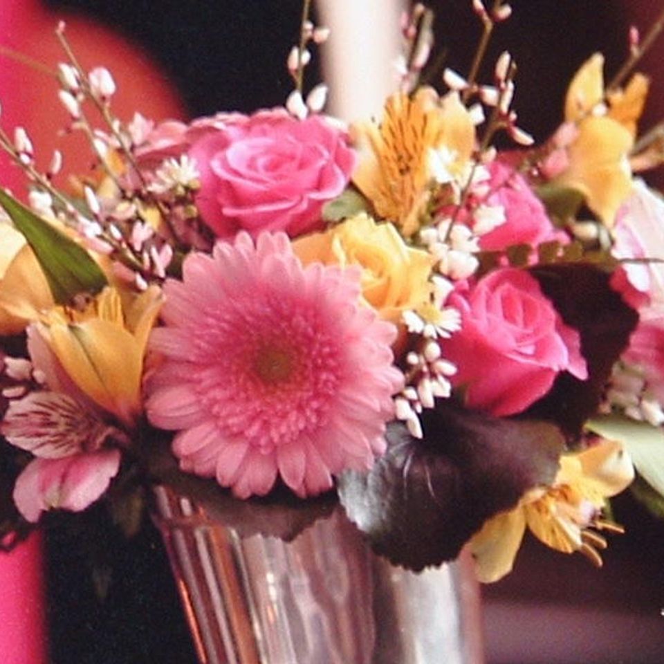 Hot magenta flowers
