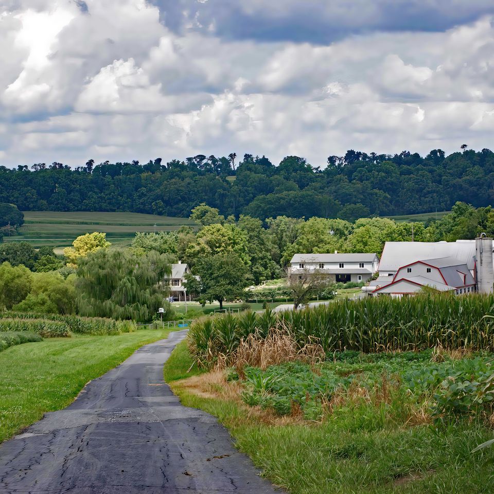 Krantz farm   hessdale  pa (movie witness)