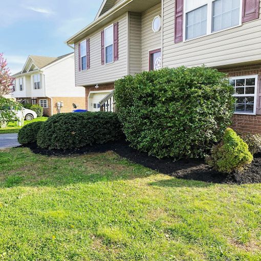 Mowing landscaping johnson city11