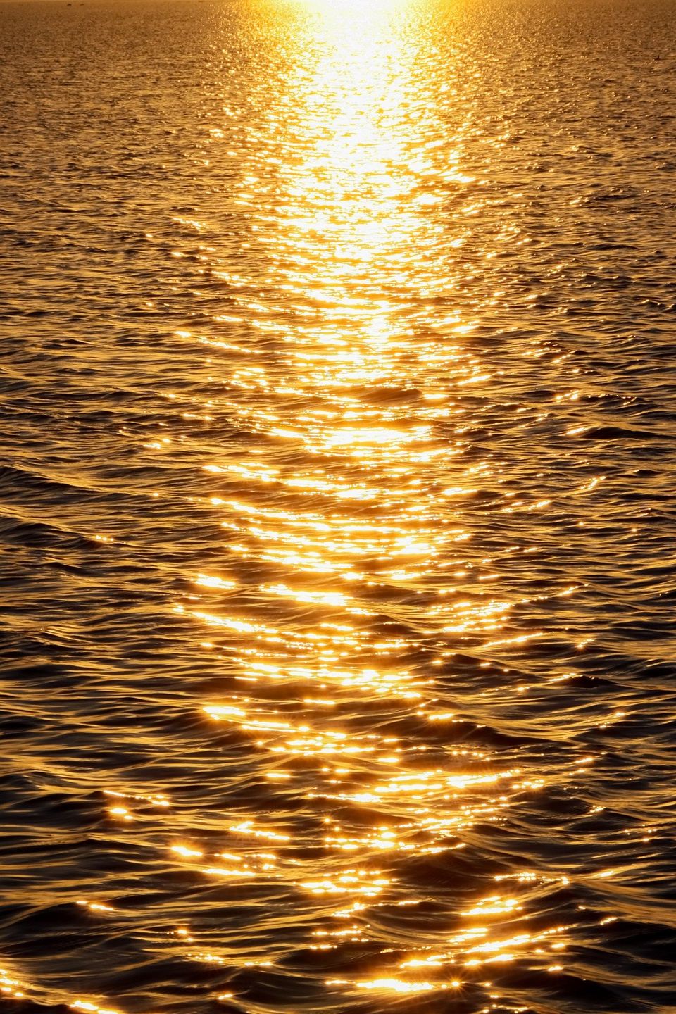 Sunset g990d1f149 1920