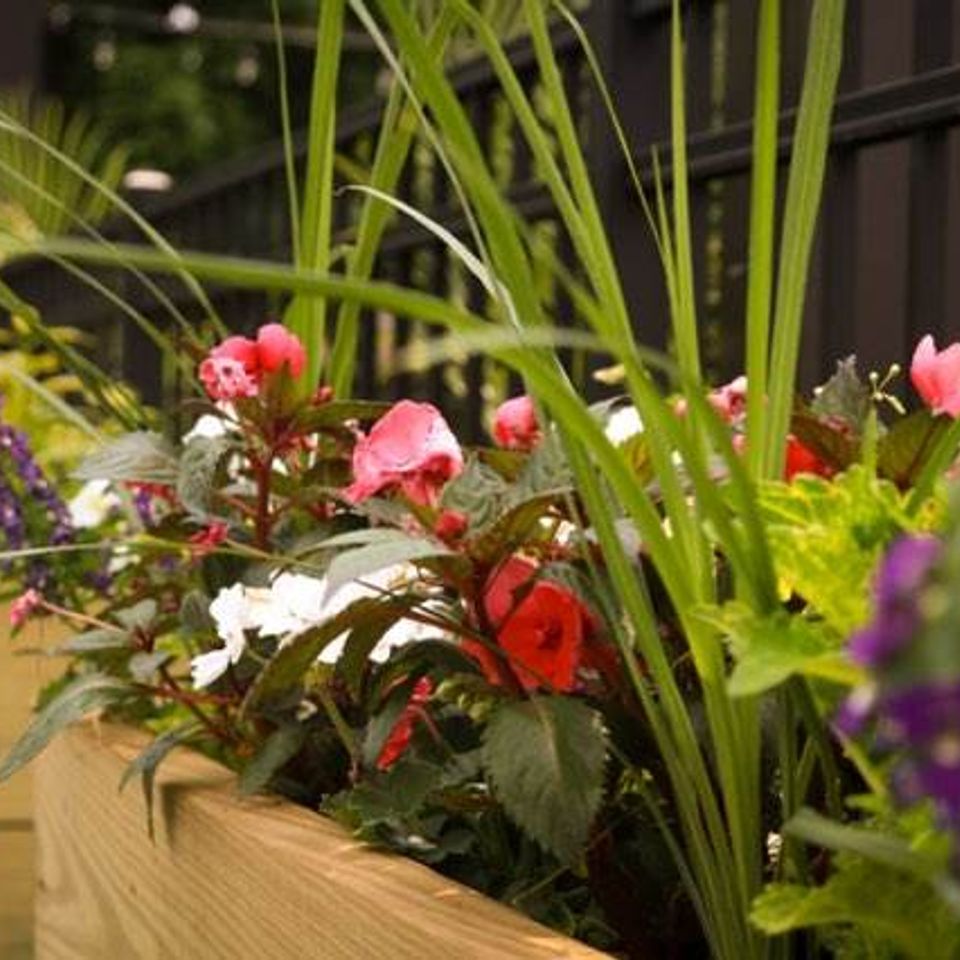 Patio 6