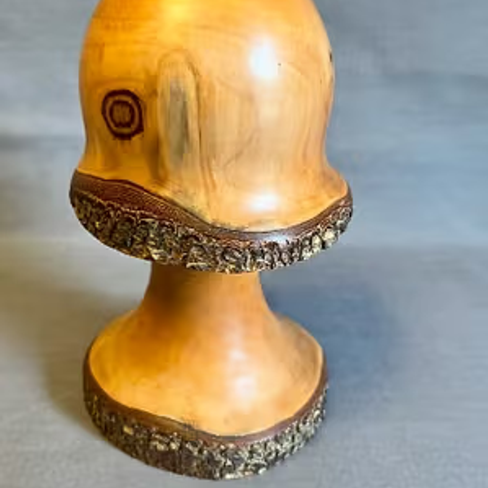 Mushroom2