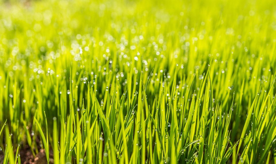 Dew gc9a1969b7 1920