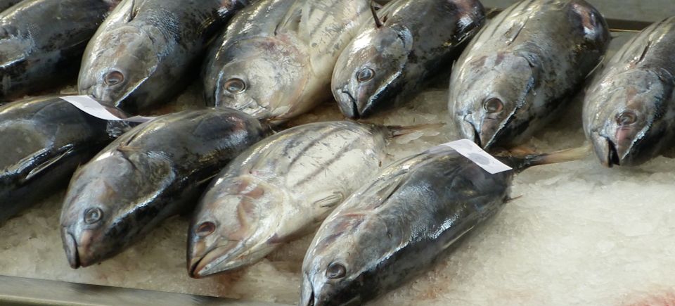 Fish market gacee71de4 1920