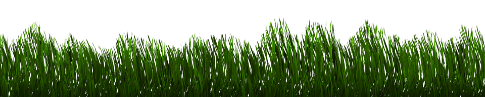 Grass 55e1dd4a49 1920
