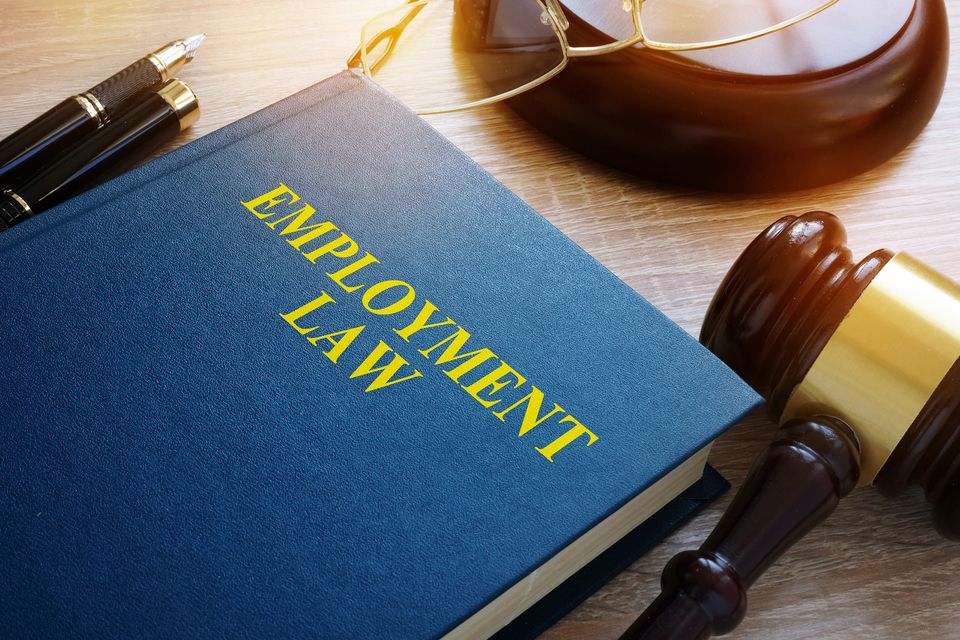 Employment law labor book gavel