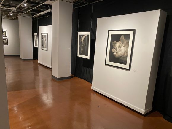 Horan exhibit photo 6