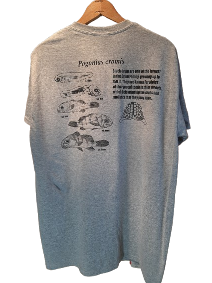 Screenshot 2026 03 12 132049